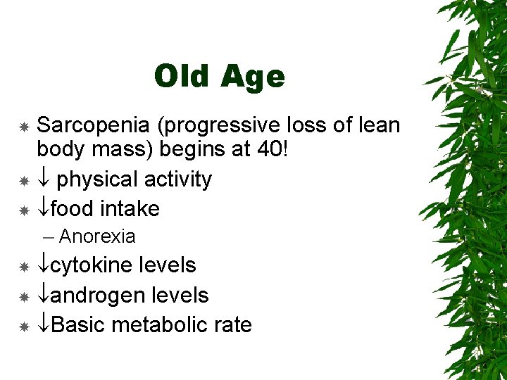Old Age Sarcopenia (progressive loss of lean body mass) begins at 40! physical activity