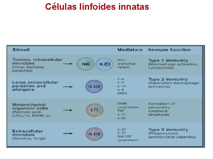 Células linfoides innatas 