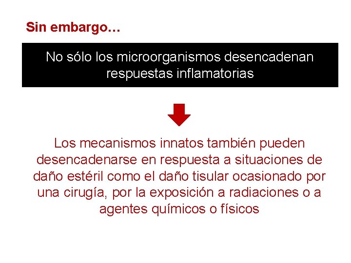 Sin embargo… No sólo los microorganismos desencadenan respuestas inflamatorias Los mecanismos innatos también pueden