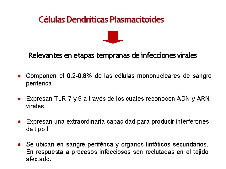 Células Dendríticas Plasmacitoides Relevantes en etapas tempranas de infecciones virales ● Componen el 0.