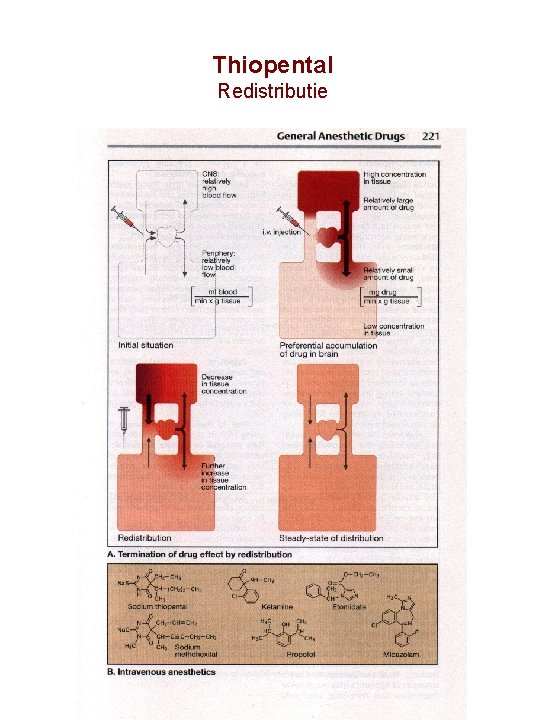 Thiopental Redistributie 