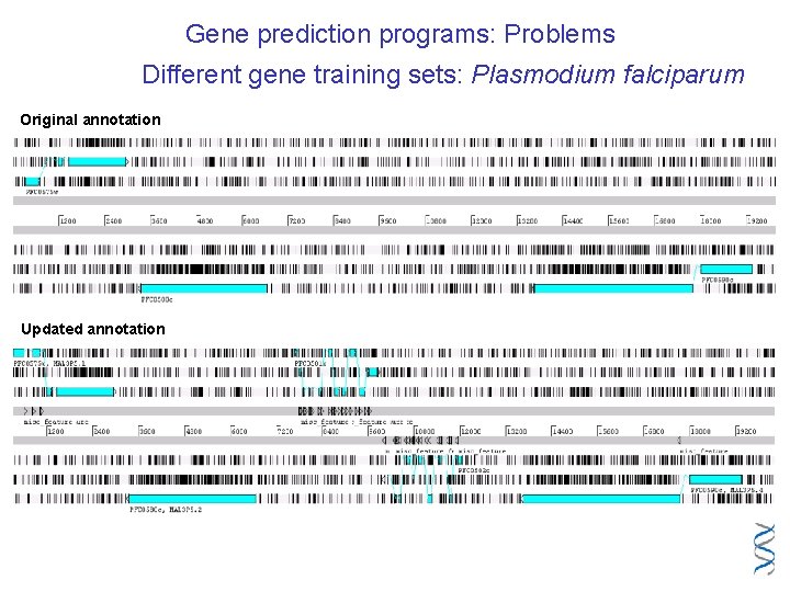 Gene prediction programs: Problems Different gene training sets: Plasmodium falciparum Original annotation Updated annotation