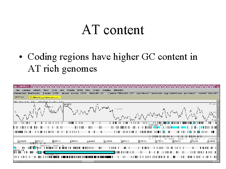 AT content • Coding regions have higher GC content in AT rich genomes 