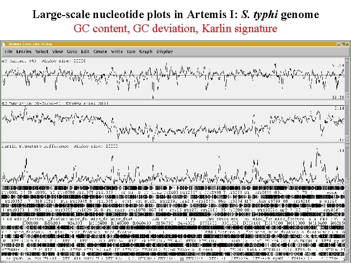 Large-scale nucleotide plots in Artemis I: S. typhi genome GC content, GC deviation, Karlin