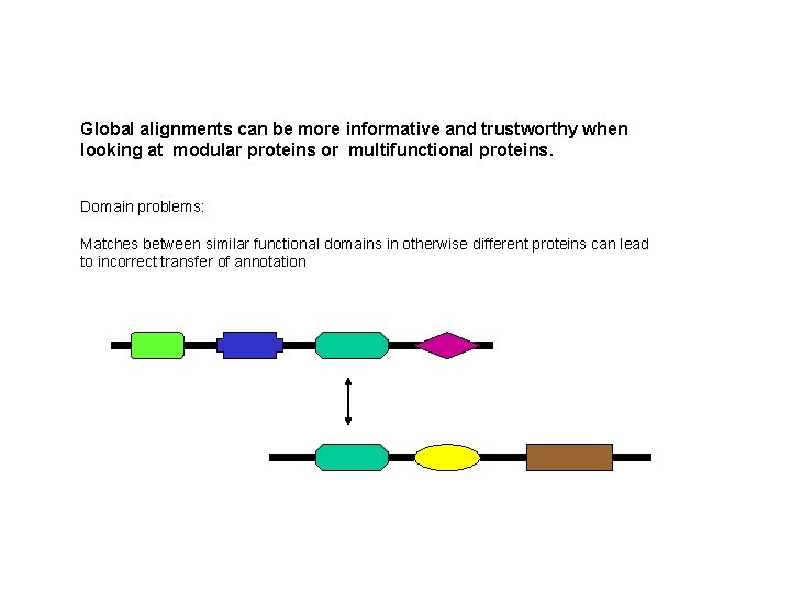 Global alignments can be more informative and trustworthy when looking at modular proteins or