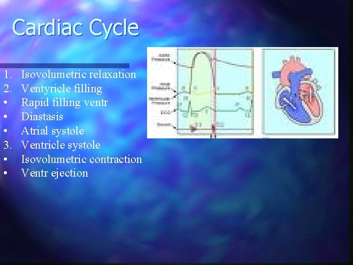 Cardiac Cycle 1. 2. • • • 3. • • Isovolumetric relaxation Ventyricle filling