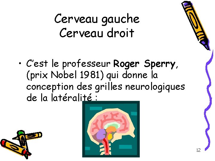Cerveau gauche Cerveau droit • C’est le professeur Roger Sperry, (prix Nobel 1981) qui Cerveau gauche Cerveau droit • C’est le professeur Roger Sperry, (prix Nobel 1981) qui
