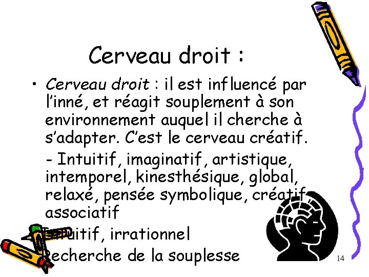 Cerveau droit : • Cerveau droit : il est influencé par l’inné, et réagit Cerveau droit : • Cerveau droit : il est influencé par l’inné, et réagit