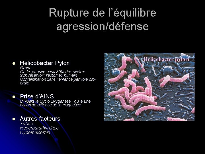 Rupture de l’équilibre agression/défense l Hélicobacter Pylori l Prise d’AINS l Autres facteurs Gram