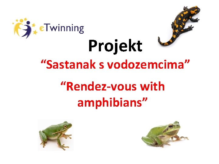 Projekt “Sastanak s vodozemcima” “Rendez-vous with amphibians” 