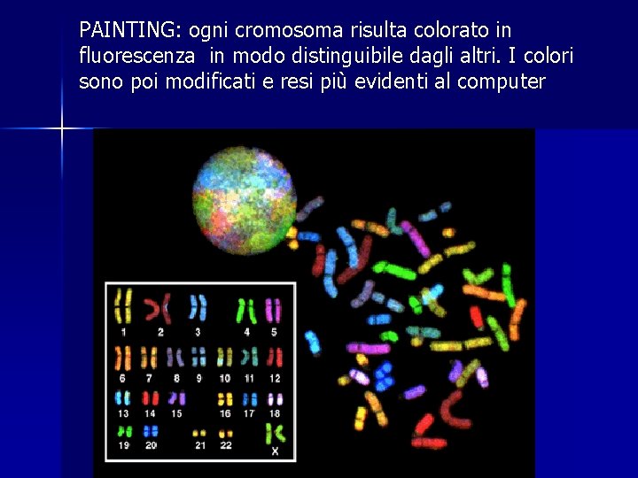 PAINTING: ogni cromosoma risulta colorato in fluorescenza in modo distinguibile dagli altri. I colori