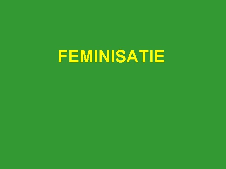 FEMINISATIE 