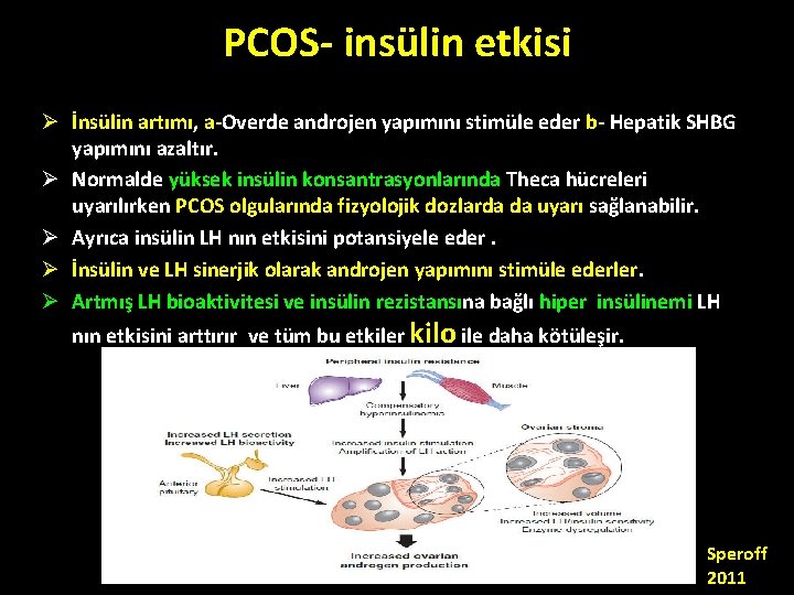 PCOS- insülin etkisi Ø İnsülin artımı, a-Overde androjen yapımını stimüle eder b- Hepatik SHBG PCOS- insülin etkisi Ø İnsülin artımı, a-Overde androjen yapımını stimüle eder b- Hepatik SHBG