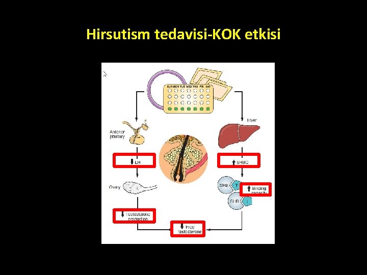 Hirsutism tedavisi-KOK etkisi Hirsutism tedavisi-KOK etkisi