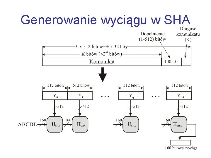 Generowanie wyciągu w SHA 