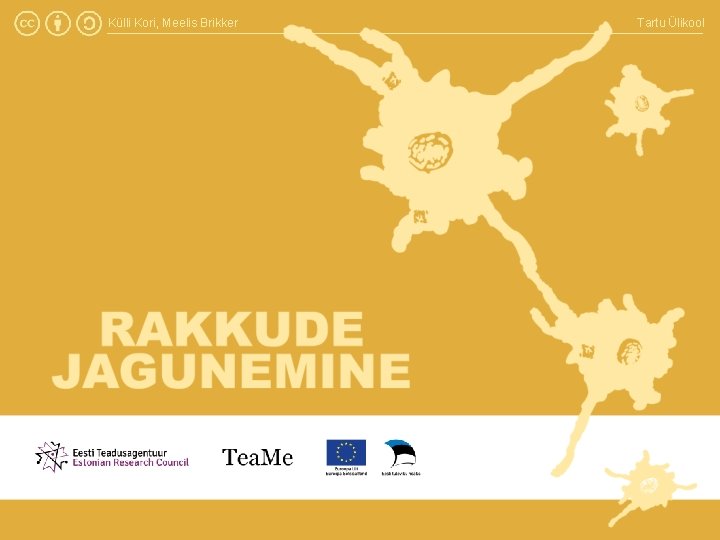 Külli Kori, Meelis Brikker Tartu Ülikool 