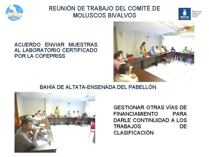 REUNIÓN DE TRABAJO DEL COMITÉ DE MOLUSCOS BIVALVOS ACUERDO ENVIAR MUESTRAS AL LABORATORIO CERTIFICADO