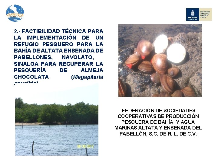 2. - FACTIBILIDAD TÉCNICA PARA LA IMPLEMENTACIÓN DE UN REFUGIO PESQUERO PARA LA BAHÍA