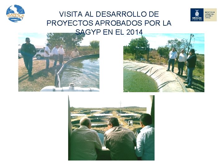 VISITA AL DESARROLLO DE PROYECTOS APROBADOS POR LA SAGYP EN EL 2014 