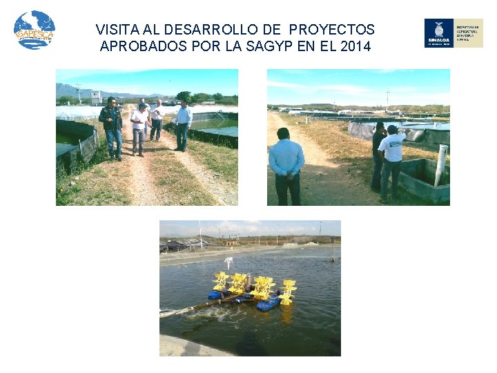 VISITA AL DESARROLLO DE PROYECTOS APROBADOS POR LA SAGYP EN EL 2014 