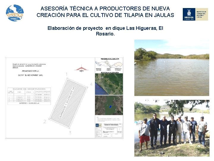 ASESORÍA TÉCNICA A PRODUCTORES DE NUEVA CREACIÓN PARA EL CULTIVO DE TILAPIA EN JAULAS