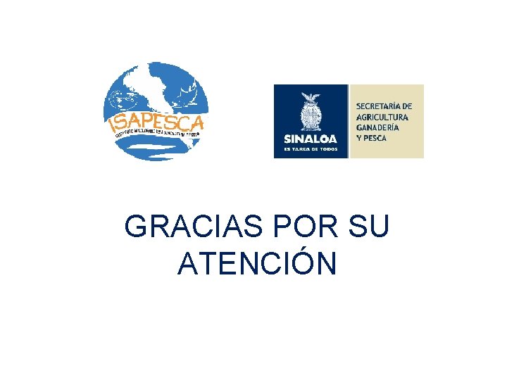 GRACIAS POR SU ATENCIÓN 