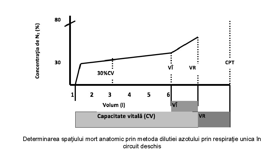 Determinarea spaţiului mort anatomic prin metoda dilutiei azotului prin respiraţie unica în circuit deschis