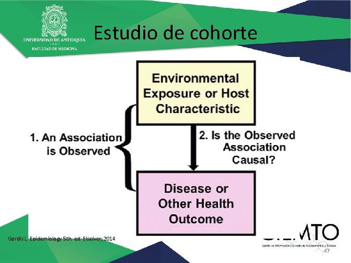 Estudio de cohorte Gordis L. Epidemiology 5 th. ed. Elseiver; 2014 47 