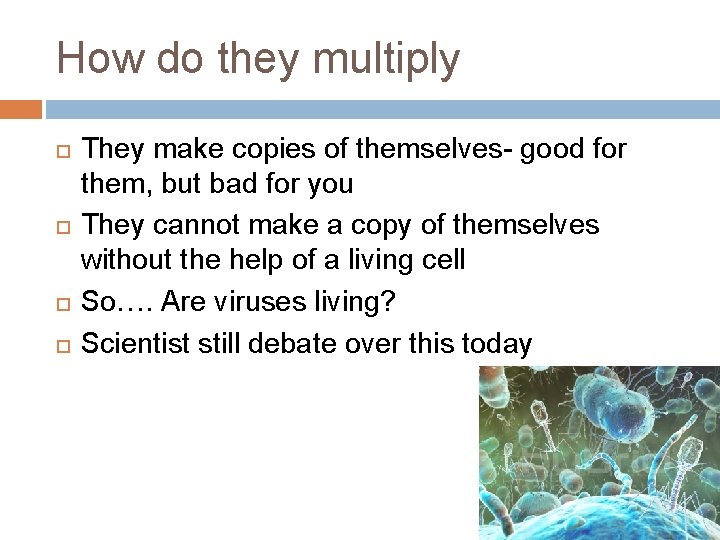 How do they multiply They make copies of themselves- good for them, but bad How do they multiply They make copies of themselves- good for them, but bad