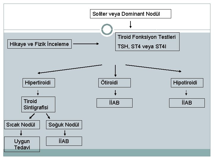 Soliter veya Dominant Nodül Tiroid Fonksiyon Testleri Hikaye ve Fizik İnceleme Hipertiroidi TSH, ST