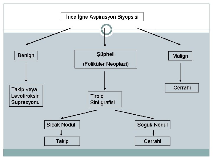 İnce İğne Aspirasyon Biyopsisi Şüpheli Benign Malign (Foliküler Neoplazi) Cerrahi Takip veya Levotiroksin Supresyonu