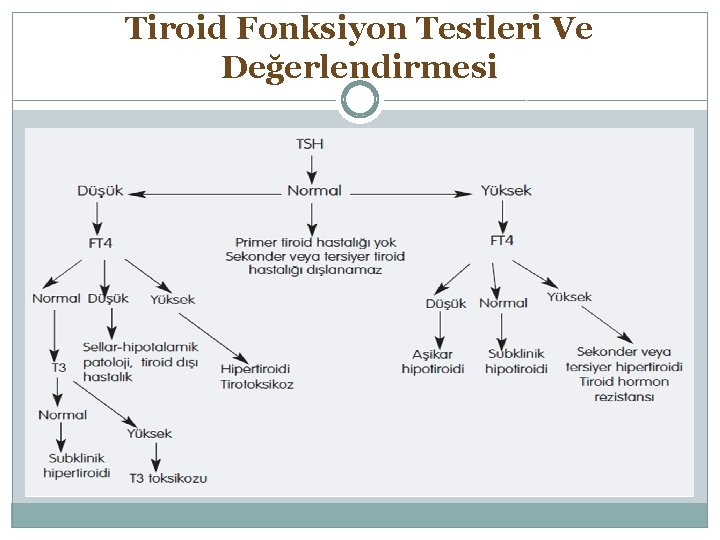 Tiroid Fonksiyon Testleri Ve Değerlendirmesi 