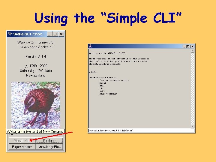 Using the “Simple CLI” 