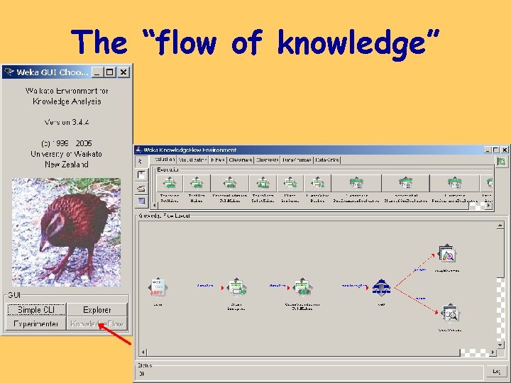 The “flow of knowledge” 