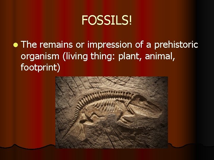 FOSSILS! l The remains or impression of a prehistoric organism (living thing: plant, animal, FOSSILS! l The remains or impression of a prehistoric organism (living thing: plant, animal,