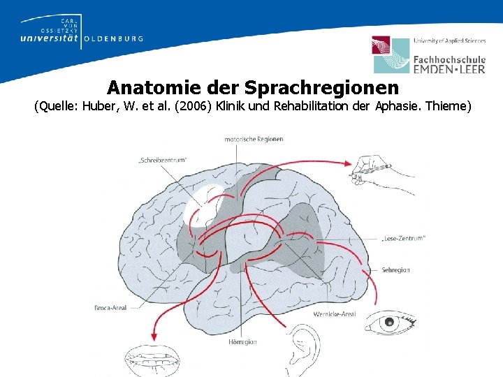 Anatomie der Sprachregionen (Quelle: Huber, W. et al. (2006) Klinik und Rehabilitation der Aphasie.