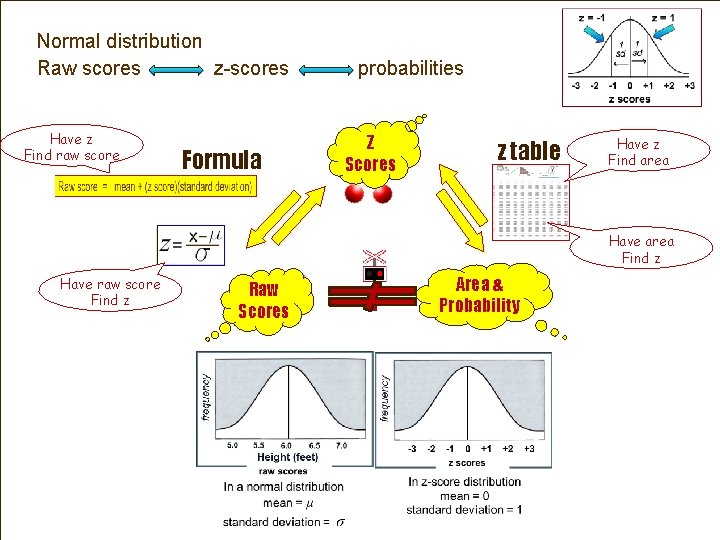 Normal distribution Raw scores z-scores Have z Find raw score Formula probabilities Z Scores