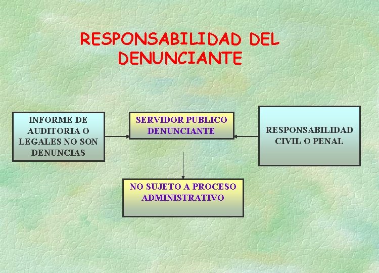 RESPONSABILIDAD DEL DENUNCIANTE INFORME DE AUDITORIA O LEGALES NO SON DENUNCIAS SERVIDOR PUBLICO DENUNCIANTE