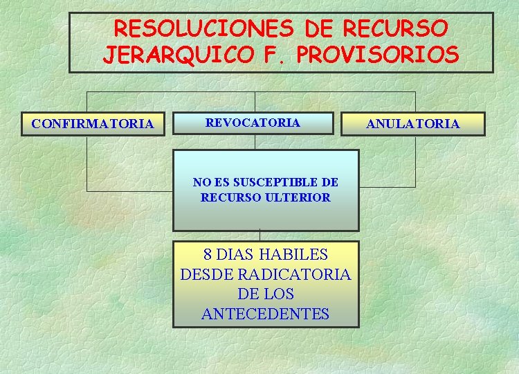 RESOLUCIONES DE RECURSO JERARQUICO F. PROVISORIOS CONFIRMATORIA REVOCATORIA NO ES SUSCEPTIBLE DE RECURSO ULTERIOR