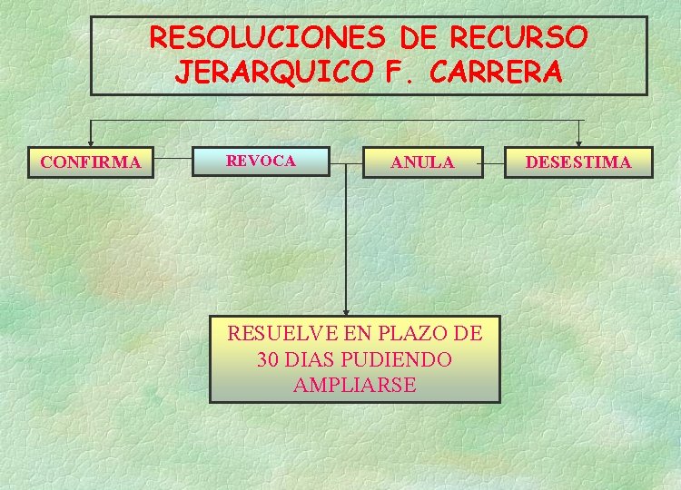 RESOLUCIONES DE RECURSO JERARQUICO F. CARRERA CONFIRMA REVOCA ANULA RESUELVE EN PLAZO DE 30