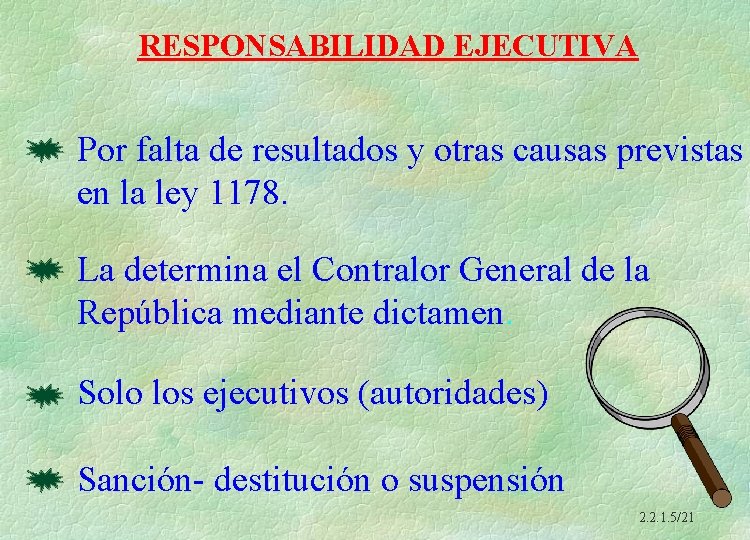 RESPONSABILIDAD EJECUTIVA Por falta de resultados y otras causas previstas en la ley 1178.