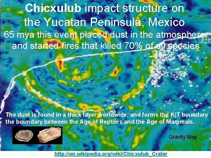 Chicxulub impact structure on the Yucatan Peninsula, Mexico 65 mya this event placed dust