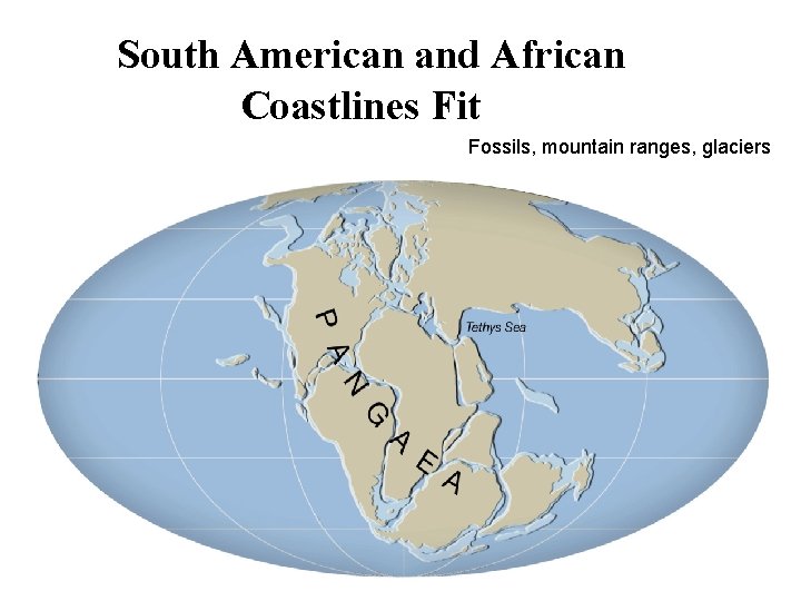 South American and African Coastlines Fit Fossils, mountain ranges, glaciers 