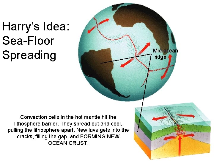 Harry’s Idea: Sea-Floor Spreading 1_20 Convection cells in the hot mantle hit the lithosphere