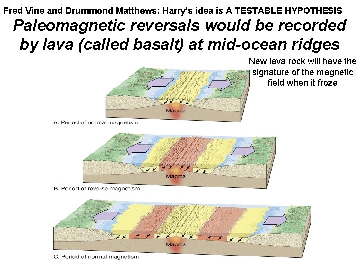 Fred Vine and Drummond Matthews: Harry’s idea is A TESTABLE HYPOTHESIS Paleomagnetic reversals would