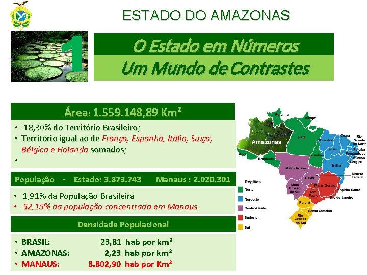 1 ESTADO DO AMAZONAS O Estado em Números Um Mundo de Contrastes Área: 1.
