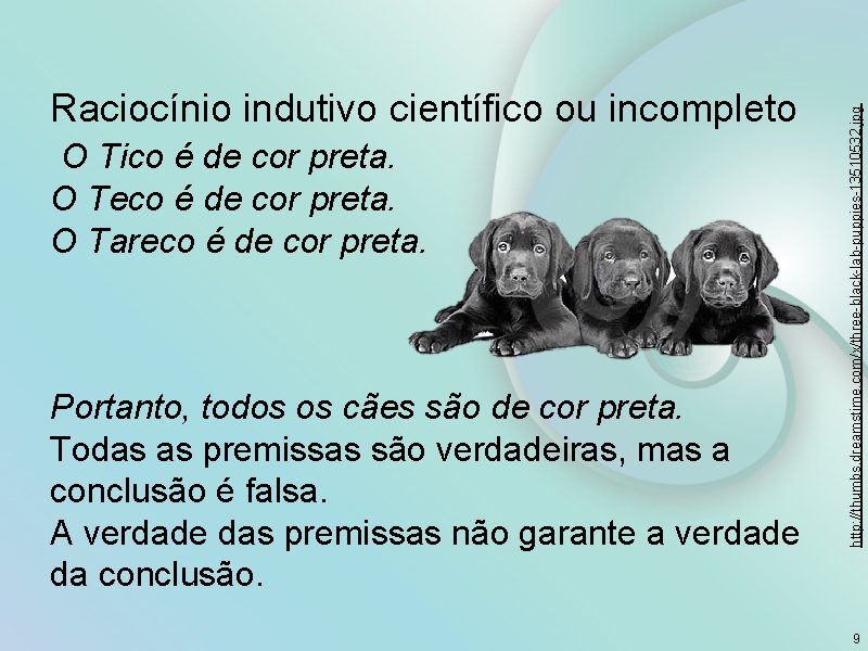 O Teco é de cor preta. O Tareco é de cor preta. Portanto, todos