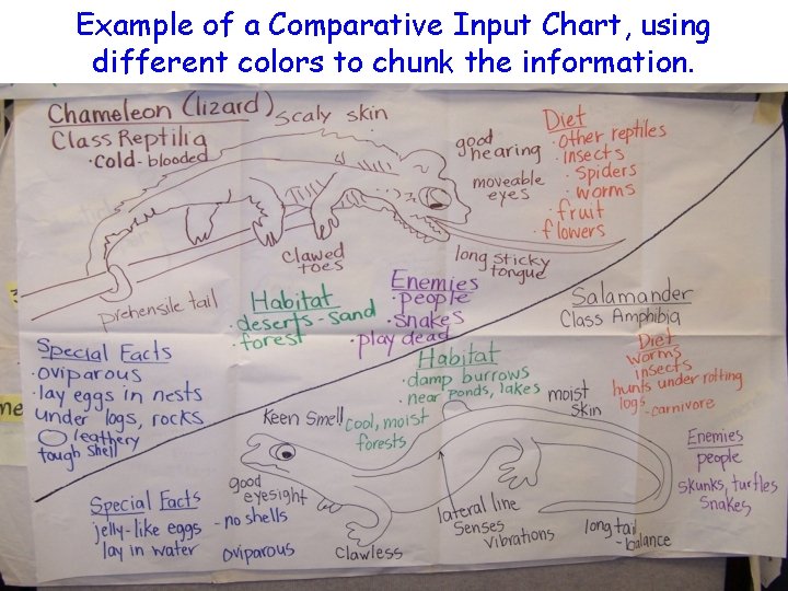 Example of a Comparative Input Chart, using different colors to chunk the information. 