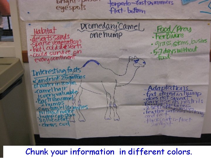 Chunk your information in different colors. 