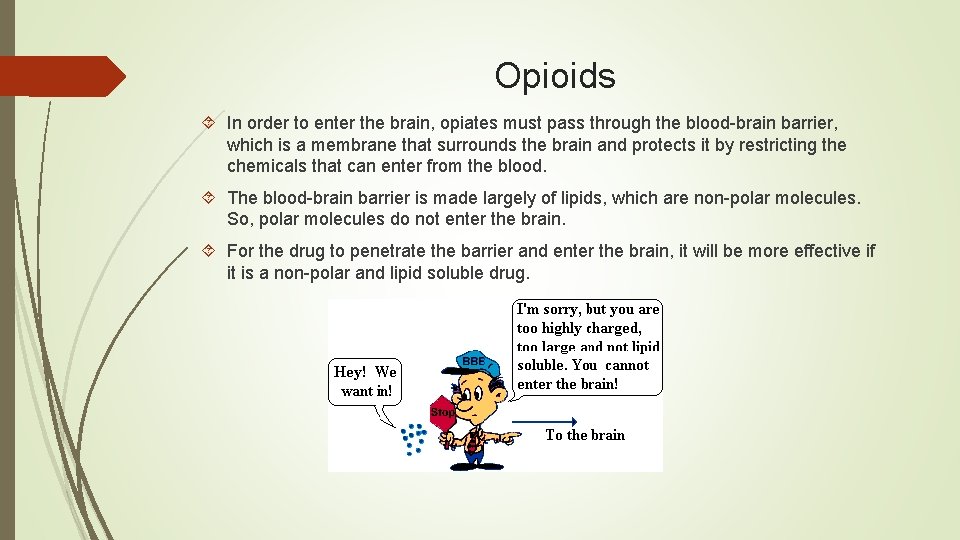 Opioids In order to enter the brain, opiates must pass through the blood-brain barrier,